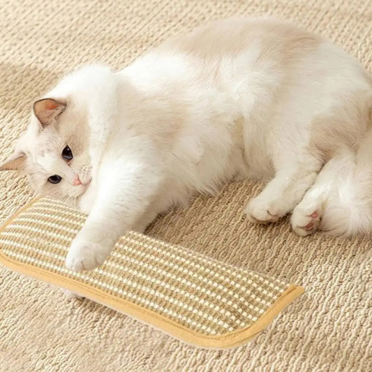 Feline Comfort | Cat Scratching Pillow with Durable Surface & Catnip | Cozy Toy for Relaxation and Engagement 1
