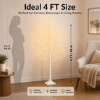 4FT