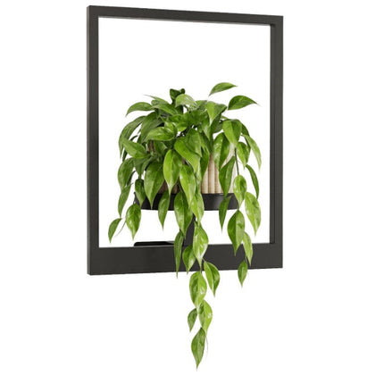 Plant Stand Indoor, Metal Plant Stand Outdoor – image 8