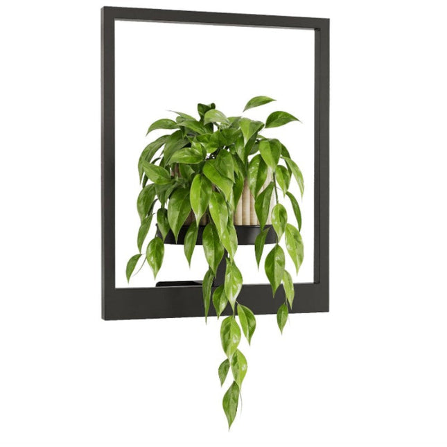 Plant Stand Indoor, Metal Plant Stand Outdoor, Wall Mounted Hanging Planter, Picture Frame Window Plant Shelf_07