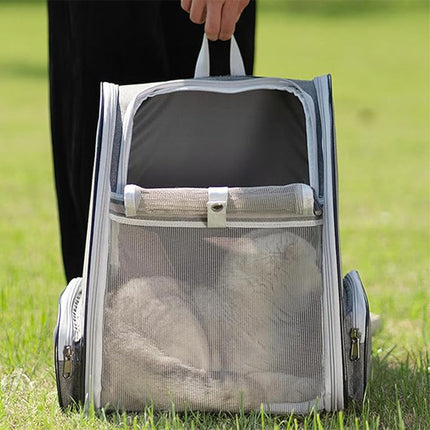 Cat Carrier Backpack, Dog Backpack Carrier for Small Dogs – image 8