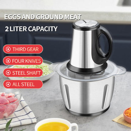 Electric Meat Grinder for Home, Large Capacity Vegetable Chopper