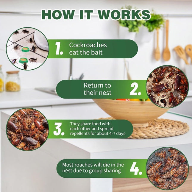 Roach Bait Stations, Boric Acid Cockroach Bait Discs Indoor