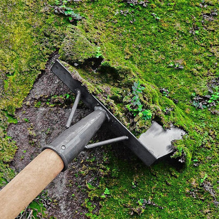 Garden Shovel Head, Stainless Steel Scraper for Moss and Dirt