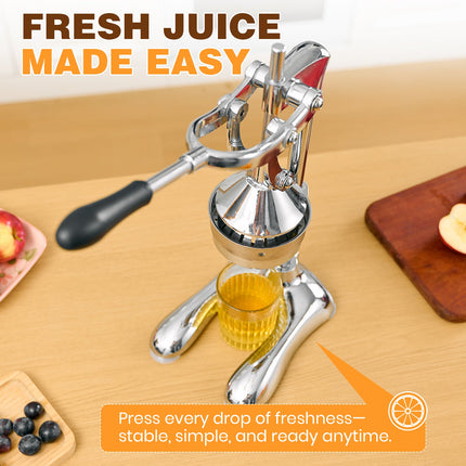 Cast Iron Juicer with Suction Base – image 7