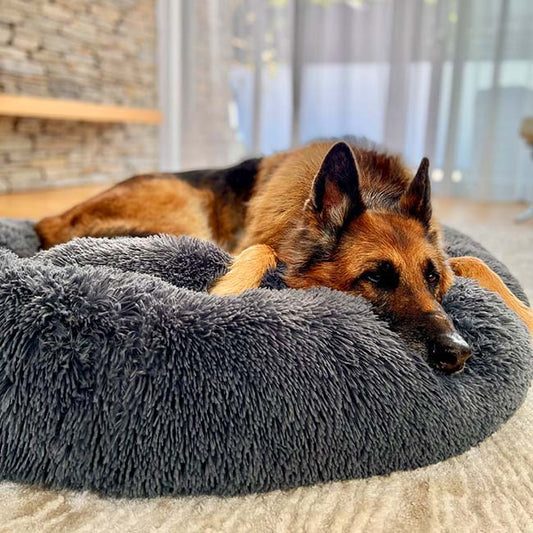 Calming | Orthopedic Dog Bed with Chew-Resistant Design | Cozy Retreat for Ultimate Comfort 0