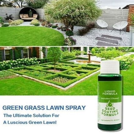 Spray on Grass Seed for Lawn Overseeding, Lawn Seed Spray for Bare Spots