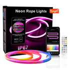 LED Strip Lights, RGBIC Neon Rope Light with Music Sync, Waterproof Outdoor LED Strip, Smart Home Lighting