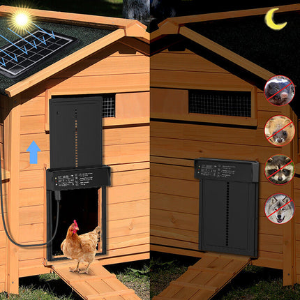 Automatic Chicken Coop Door with Timer and Light Sensor, Automatic Chicken Door with Remote for Hen House and Duck – image 4