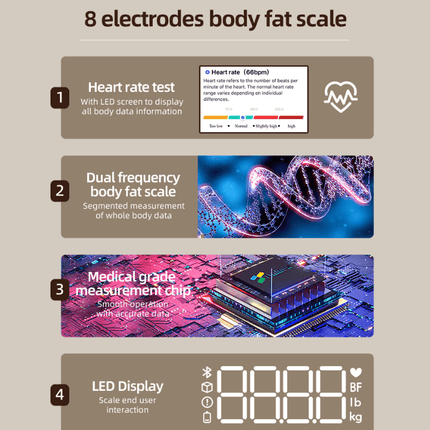 BMI Scale with Bluetooth App, Smart Digital Weight Scale for Body Fat – image 4