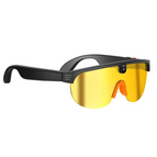 Black Yellow-Dual Lenses