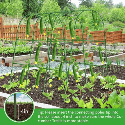 Garden Cucumber Trellis for Climbing Plants, Tomato Trellis for Raised Bed