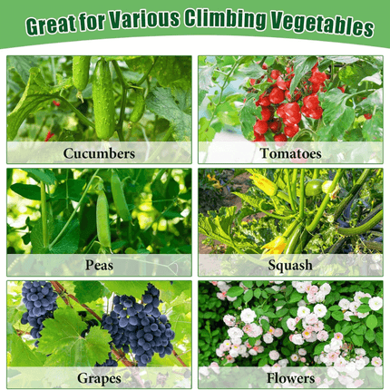 Garden Cucumber Trellis for Climbing Plants, Tomato Trellis for Raised Bed – image 6