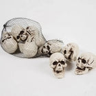 Halloween Decorations Skeleton Skulls Set of 10, Mini Skeleton Decor for Table, Halloween Party Decorations