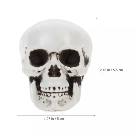 Halloween Decorations Skeleton Skulls Set of 10, Mini Skeleton Decor for Table – image 6