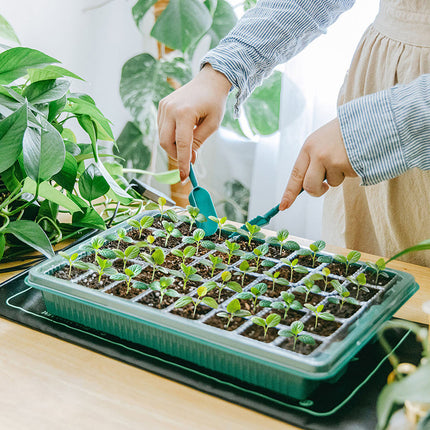 Seed Starter Kit with Humidity Dome, Indoor Seedling Grow Light with Heat Mat for Seedlings