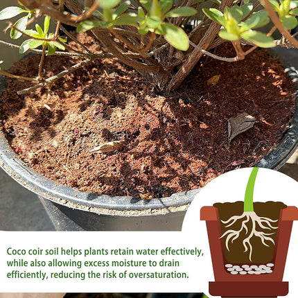 Coconut Coir Bricks for Plants, Coco Coir Brick Seed Starting Mix – image 8