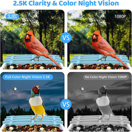 Bird Feeder Camera Solar Powered, Smart Bird Feeder with 5MP AI Camera – image 5