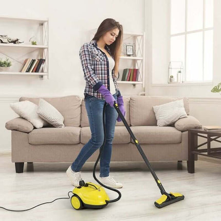 High Pressure Carpet Steam Cleaner, Furniture Steam Cleaner