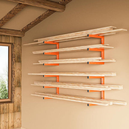 Steel Garage Organizer for Ladders