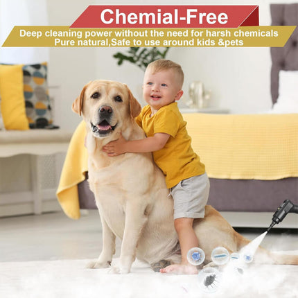 High Pressure Steam Cleaner 2500W, Handheld Steam Cleaner for Grout and Sofa – image 6