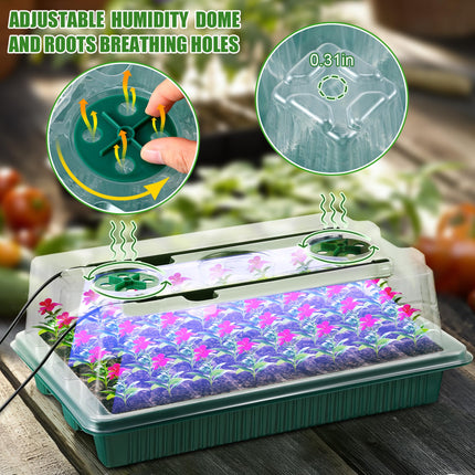 Seedling Tray with Grow Light, 2 Pack Seed Starter Tray – image 5