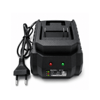 Fast Charger / EU Plug