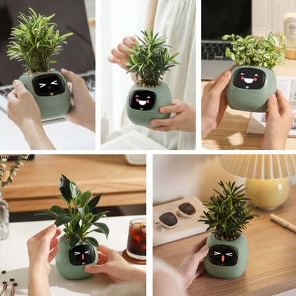Indoor Planter Pot with Soil Moisture Monitor