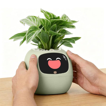 Indoor Plant Pot with Soil Moisture Monitor