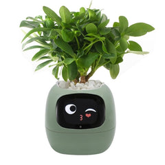 Indoor Planter Pot Smart with AI Display and 100+ Expressions