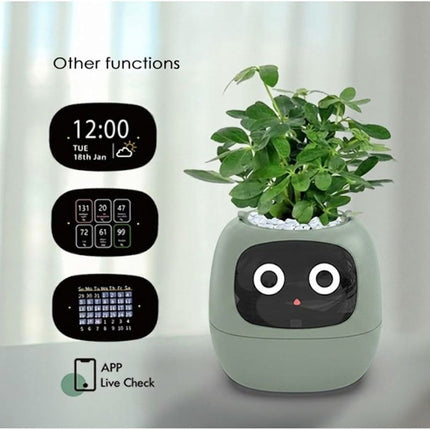 Indoor Planter Pot Smart with 100+ Expressions