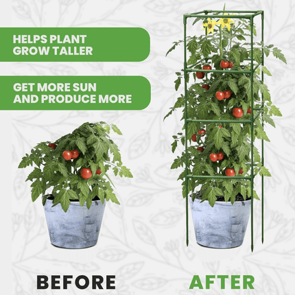 Tomato Cages for Garden, Square Tomato Plant Cage and Cucumber Trellis