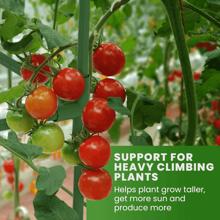 Tomato Cages for Garden, Square Tomato Plant Cage and Cucumber Trellis – image 4