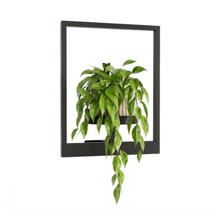 Plant Stand Indoor, Metal Plant Stand Outdoor, Wall Mounted Hanging Planter, Picture Frame Window Plant Shelf