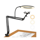 Overhead Ring Light with Boom Arm and Phone Holder, Desk Clamp Light with Remote, Streaming Light for Crafting