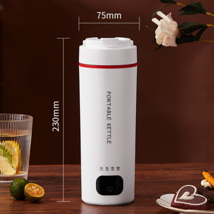 Small Electric Kettle, Dual Voltage Hot Water Kettle – image 7