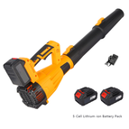 5-Cell Lithium-ion Battery Pack