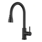 Matte Black – 2-Mode Sprayer