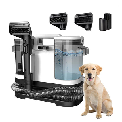 Portable Carpet Cleaner Machine, Upholstery Cleaner with Dual Tanks, Carpet Shampooer for Couch and Stairs